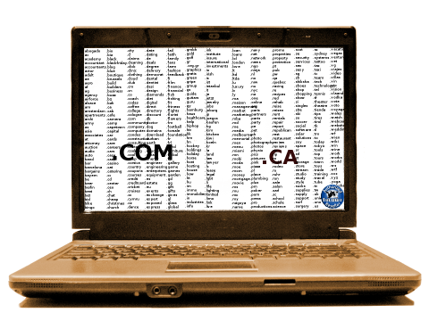 Domain laptop